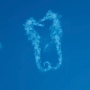 Meet your Posher, Zoë rose